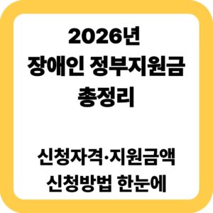 2026년 장애인 정부지원금 총정리