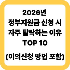 2026년 정부지원금 신청 시 자주 탈락하는 이유