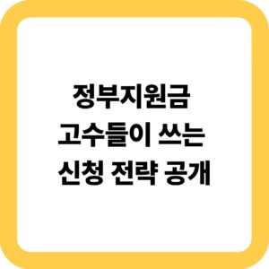 정부지원금 고수들이 쓰는 신청 전략 공개