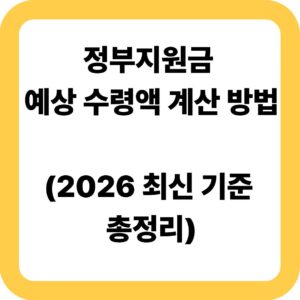 정부지원금 예상 수령액 계산 방법