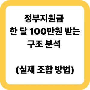 정부지원금 한 달 100만원 받는 구조 분석